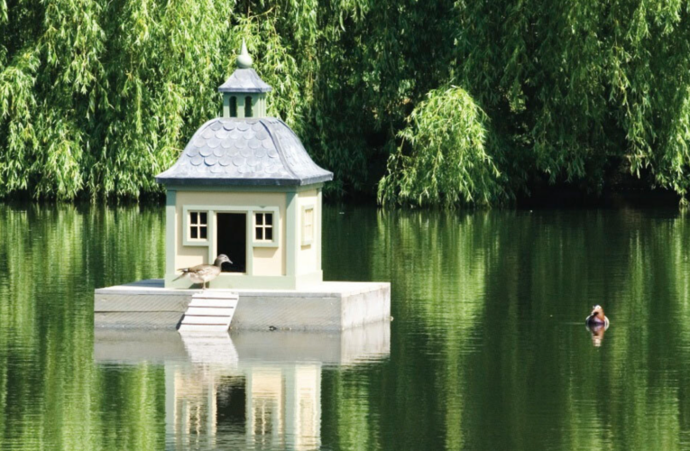 Sleazy British politicians and their shocking yet hilarious expenses