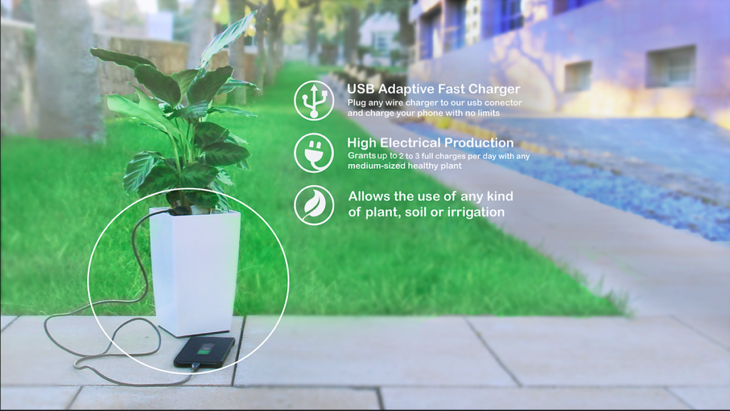Bioo plants than can charge your phone 