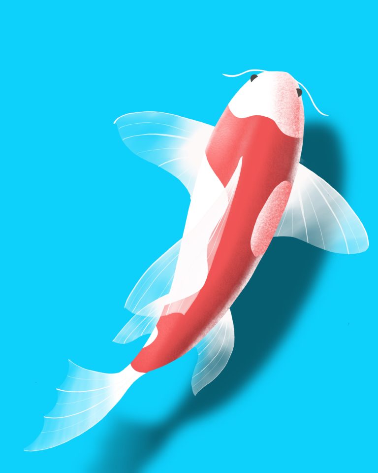 How to get started with Procreate on iPad