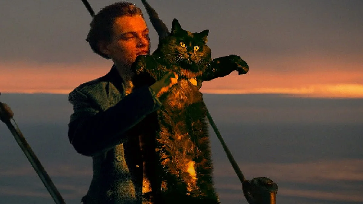 Someone replaced Kate Winslet in Titanic with a cat and it is genius