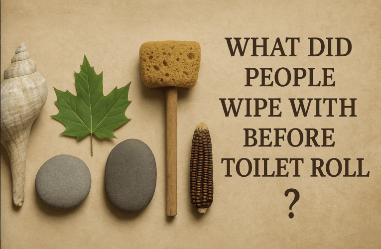 What Did People Wipe With In The Past And Why Is The World Moving Beyond Toilet Paper?