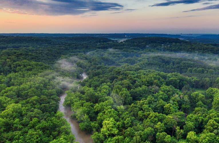 The Forgotten Story of the King of the Amazon