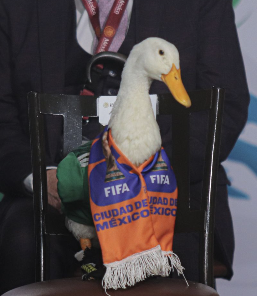 Merlin FIFA World Cup Duck